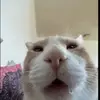 Gemma&Cyrus - @gemmacyrus6 - TikTok