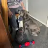 gemmadaniels251 - @gemmadaniels251 - TikTok