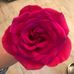 Gemma Davidson - Facebook