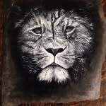 Gemma Dawson - @gemma.dawson.54 - Instagram