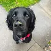 gemmadawson24 - @gemmadawson24 - TikTok