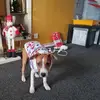 gemmadawson56 - @gemmadawson56 - TikTok