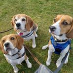 Gemma Duncan - Facebook