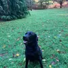 Gemma Dunn - @user581376930 - TikTok