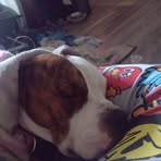 Gemma Dunn - Facebook
