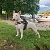 gemmadunne_23@hotmai - @wesley_woowoo - TikTok