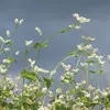 gemmaduran - @gemmaduran - TikTok