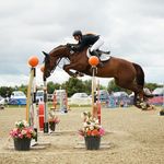 Rider: Gemma Ellison - @crc_showjumpers - Instagram