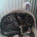 Gemma Exley - Facebook