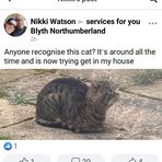 Gemma Finley - Facebook