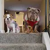 Floyd_and_Gemma🩵🩷 - @floyd_and_gemma - TikTok