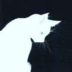 gemma forrest - @expert.forestier - Instagram