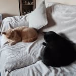 Gemma Gardner - @gemma852 - Instagram