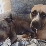Gemma + George - @gemma_and_george_morris - Instagram