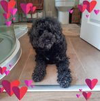 Gemma George - Facebook