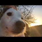 Gemma Glover - Facebook