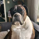 Gemma - @gemmaholder - Instagram