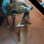 Gemma Hunt - Facebook
