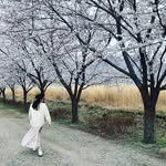Gemma Hwang - @gemma_hwang - Instagram