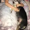 gemmaingram85 - @gemmaingram85 - TikTok