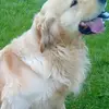 Gemma Kavanagh - @gemgem959 - TikTok