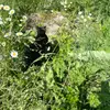 gemma⊹₊❀ - @gem.mamckay - TikTok