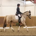 Gemma Kay - @myfirsthorse__eq - Instagram