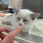 Gemma Kim - Facebook