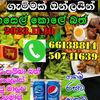 gemmak online 3 - @gemmak.online.3 - TikTok
