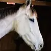 gamakramer - @gamakramer - TikTok