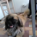 Gemma Meneses - Facebook