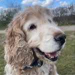 Gemma Moss - @gemma.moss.716 - Instagram