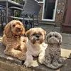 Gemma Patterson - @gemmapatterson1304 - TikTok