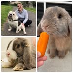 Gemma Phippen - @phippensfurbabies - Instagram