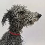 Gemma Rees Dog Sculptures - @gemmareesdogsculptures - Instagram