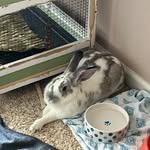 Gemma Reese Laugherty - @gemmareeselaugherty - Instagram