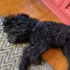 user8860596554161 - @gemma_ross_ - TikTok