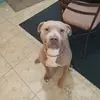 Jemma Skinner - @jemma.skinner - TikTok