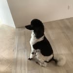 Gemma Sullivan - @oregon16148 - Instagram