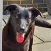 gemmasummers - @gemmasummers - TikTok