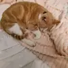 Gemma Woodring - @gemma.woodring - TikTok