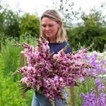 Gemma Wright - @greenrabbitflowers - Instagram