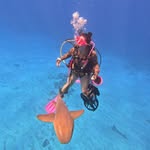 Gina Burns - @ginaburns16 - Instagram