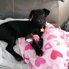 gena.clark - @gena.elliott - TikTok