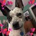 Gena Oglesby Crane - Facebook