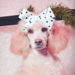 Gena Day - @genaday2 - Instagram