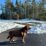 Gena Canning - @genadecker1 - Instagram
