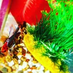GENA FISH🐠 - @gena_fish_1.fll - Instagram