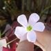 Gena Gabriel - Facebook