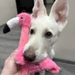 @genagoodboy - Instagram